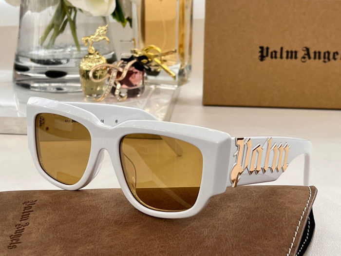 palm angles sunglasses 202304005