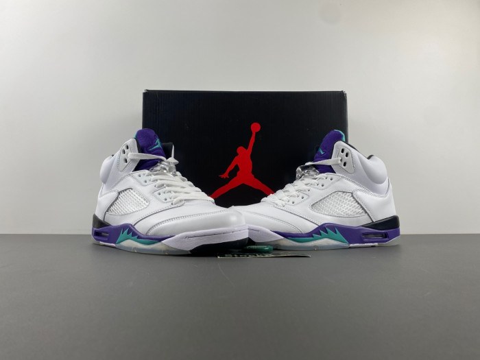 Jordan 5 Retro Grape 136027-108