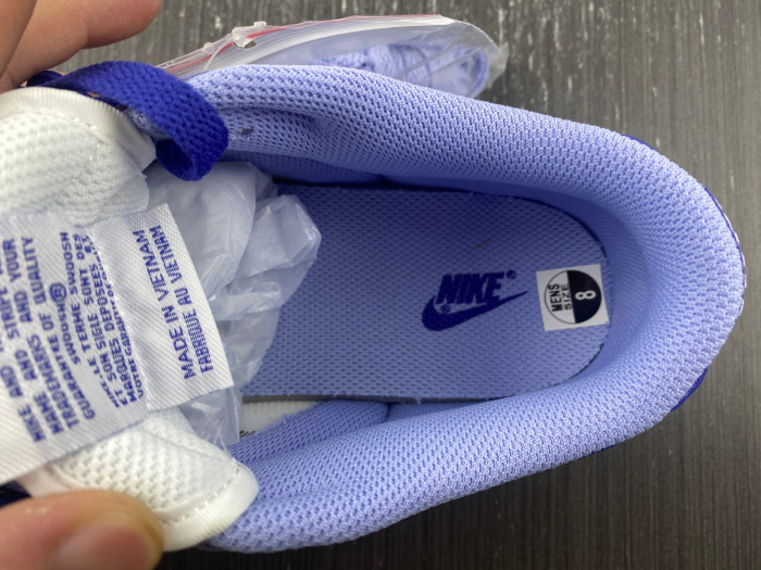 nike dunk low gs "blueberry" dz4456-100