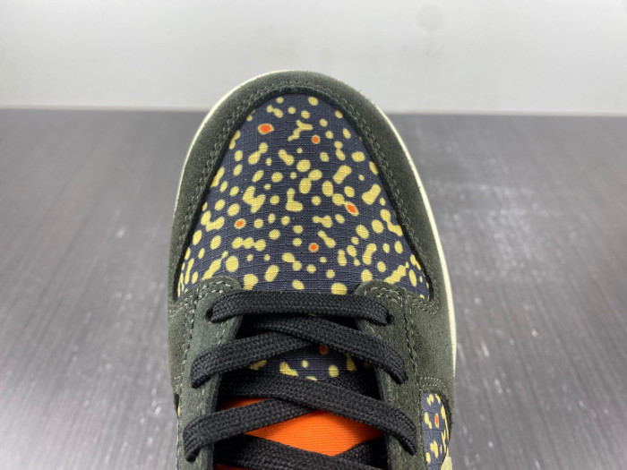 nike dunk low rainbow trout fn7523-300