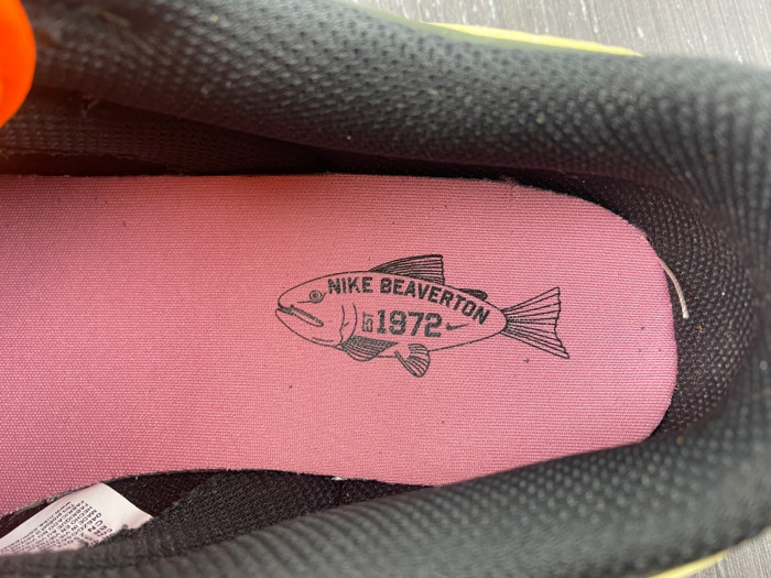 nike dunk low rainbow trout fn7523-300