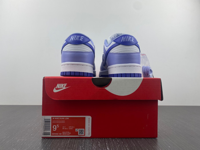 nike dunk low gs "blueberry" dz4456-100