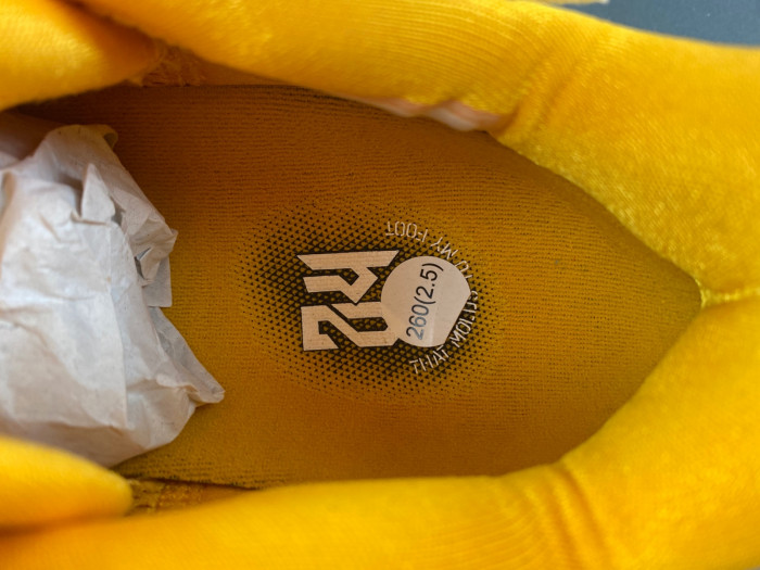 nike kobe 6 protro cw2190-501