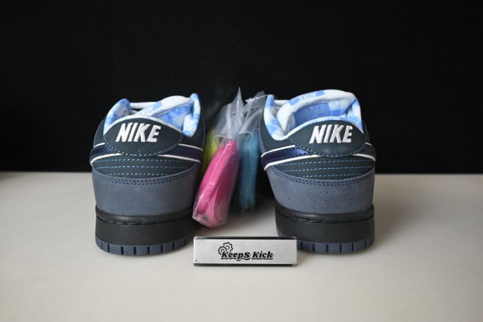 nike sb dunk low concepts blue lobster 313170-342