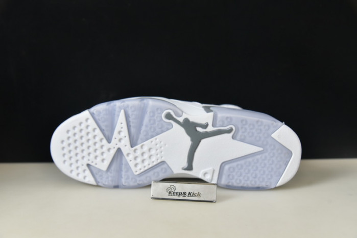 air jordan 6 "cool grey" ct8529-100