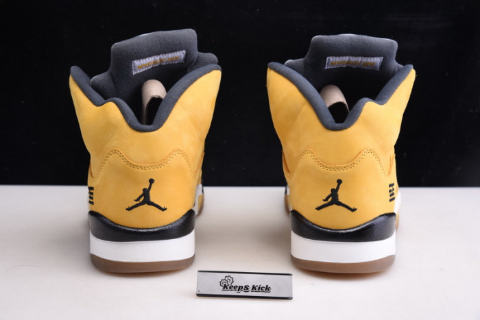 air jordan 5 retro t23 